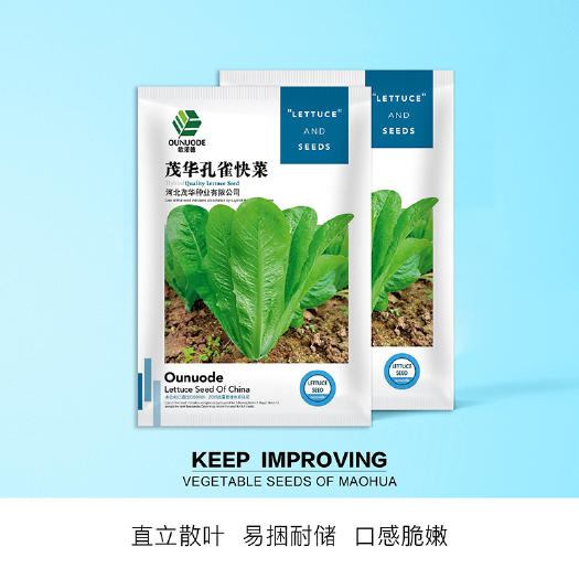 青县 中科茂华蔬菜种子茂华孔雀菜生菜种子品质超越大速生产生长快速