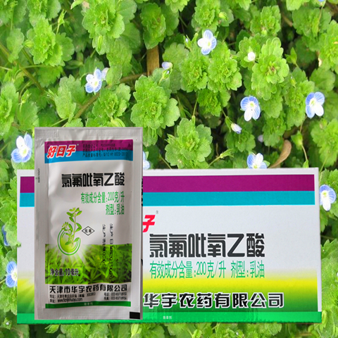 200克/升氯氟吡氧乙酸 阔叶杂草除草剂20克/袋