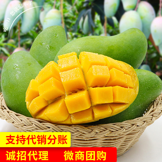 南宁 广西百色金煌芒5斤/10斤装肉厚多汁当新鲜水果一件代发