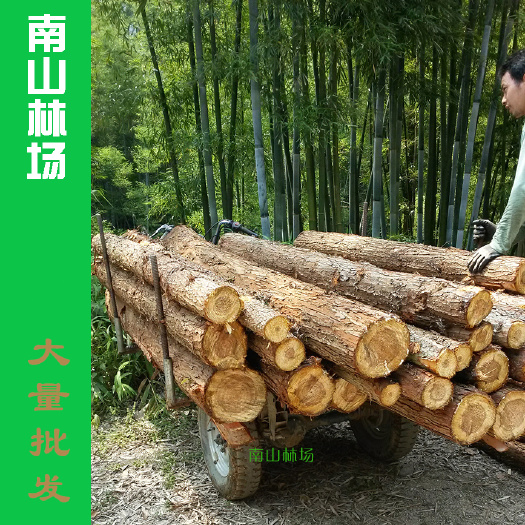 龙门县本地杉木木材 香杉木条 河道木桩条 木方 板材家居装修板材