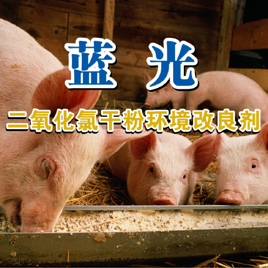林州市饲料添加剂  蓝光干粉  灭杀霉菌，灭杀非瘟，分解吸附毒素