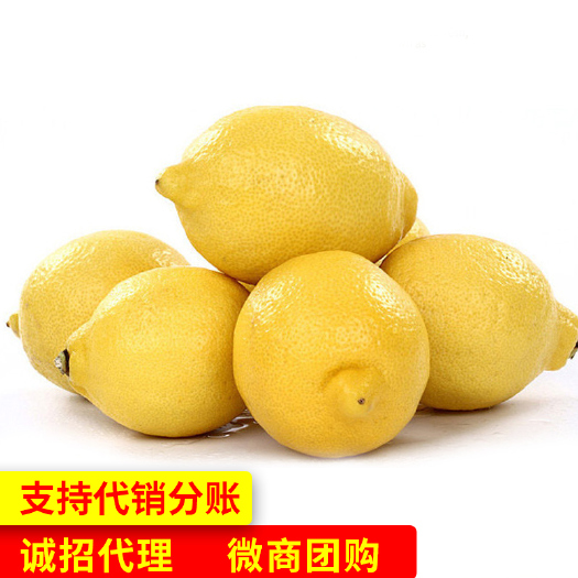 南宁 黄柠檬净重5斤装大果新鲜柠檬皮薄多汁多规格柠檬