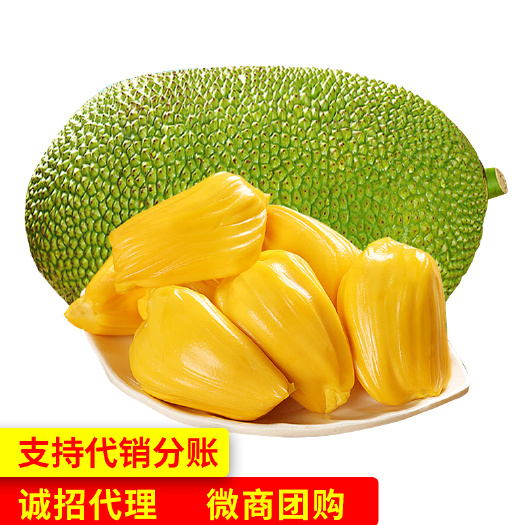 南宁 热带水果皇后—海南菠萝蜜 甜爽脆 果大苞多 新鲜水果
