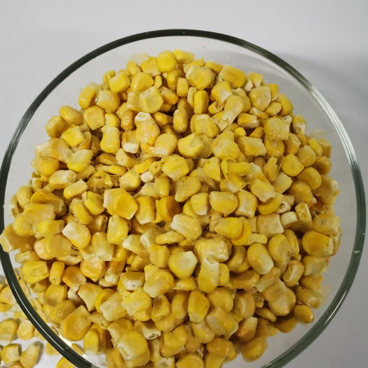  冻干玉米 瑞方FD脱水蔬菜生产厂家