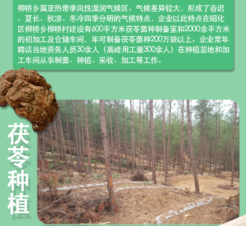 挂面 茯苓富硒面 营养健康