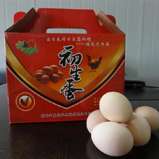 新田县富硒鸡蛋 加壹富硒初主蛋