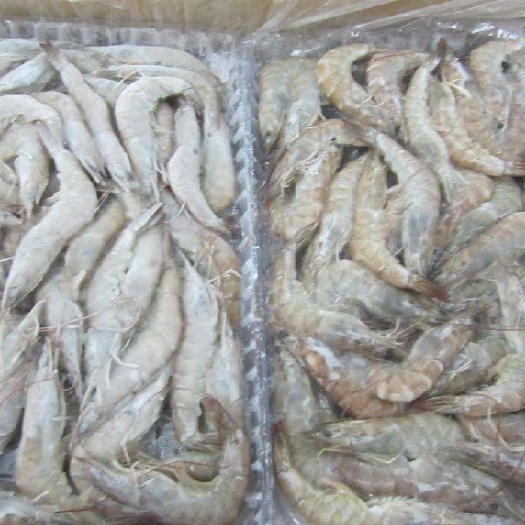 湛江阿根廷红虾 虾 单冻虾 芙蓉虾 生带头虾 生去头虾 熟带头 虾仁 开背虾
