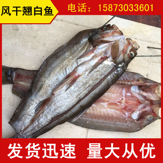 岳阳翘嘴红鲌 风干翘嘴白鱼 阳干刁子鱼 大量批发手撕鱼 质量好得很