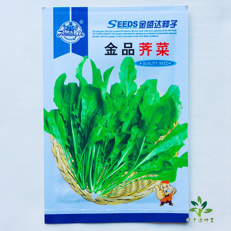 沭阳县荠菜种子荠菜新种子天然野 生荠荠菜包新芥菜种子