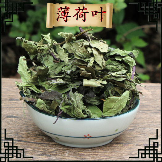成都知择精选薄荷叶500g包邮新新鲜干货薄荷茶泡水清凉茶