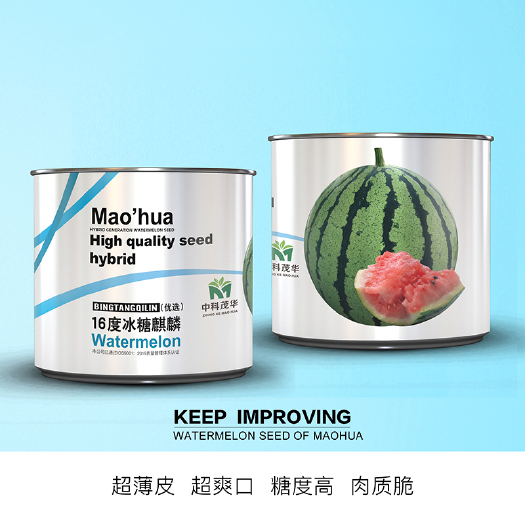 青县冰糖麒麟王西瓜种子  中科茂华西瓜种子16度冰糖麒麟西瓜种子超甜京欣含糖13