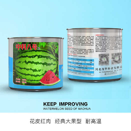 青县 中科茂华西瓜种子中科八号西北农大科研大果型红壤超甜抗病高产