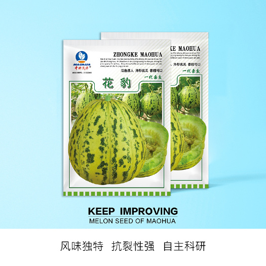 青县 中科茂华瓜果种子花宝甜瓜种子点香瓜绿肉超甜春秋种植易坐