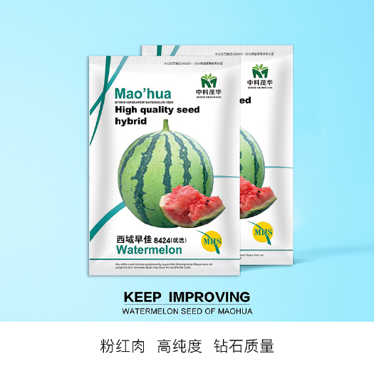 青县中科茂华瓜果种子西域早佳8424西瓜种子新疆8424麒麟西瓜