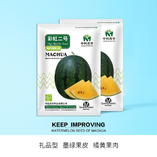 青县 中科茂华瓜果种子彩虹二号礼品西瓜种子橘肉墨绿皮西瓜種子