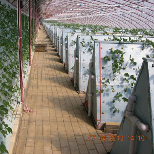 武汉无土栽培设备  温室大棚水培 无土栽培蔬菜 三角气雾栽培架