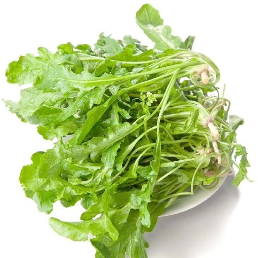 沧县 烘干脱水荠菜馅 地菜山野菜  500g袋装食用团购农产品