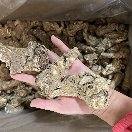 岷当归  当归头岷县地产药材24小时直发
