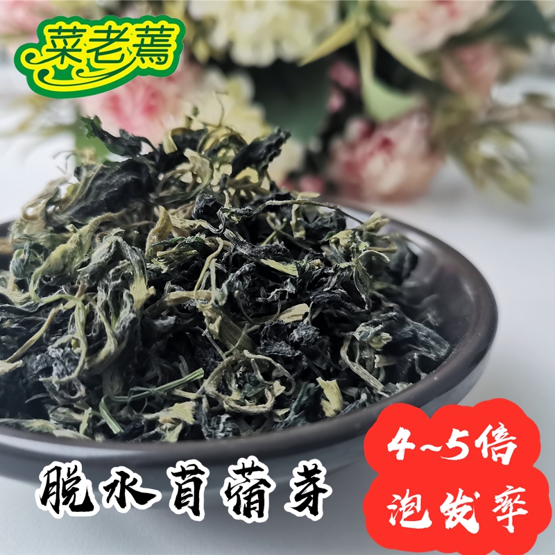  菜老蔫野蔬菜批发 金花菜 头茬紫花苜蓿芽 酒店特色食材