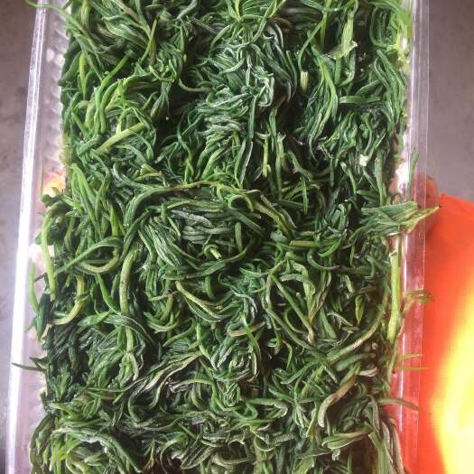 沧县 琛青宜鲜新货冷馅速冻黄须菜 碱蓬草 海英菜批发