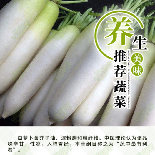 沧县 菜老蔫脱水白萝卜丝 新鲜现货蔬菜批发 萝卜丸子海鲜汤