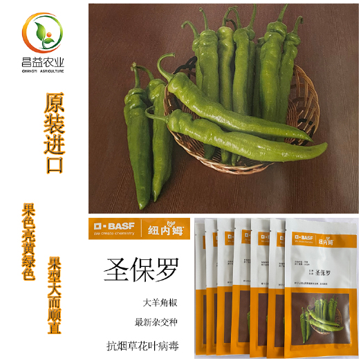 羊角椒种子 纽内姆圣保罗羊角椒种籽黄绿皮辣椒尖椒羊角椒种子