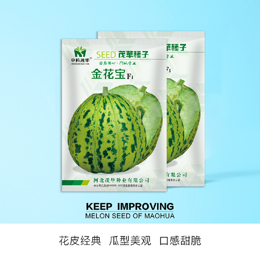 青县 中科茂华瓜果种子金花宝花皮花蕾甜瓜种子香瓜種子绿肉绿瓤薄皮
