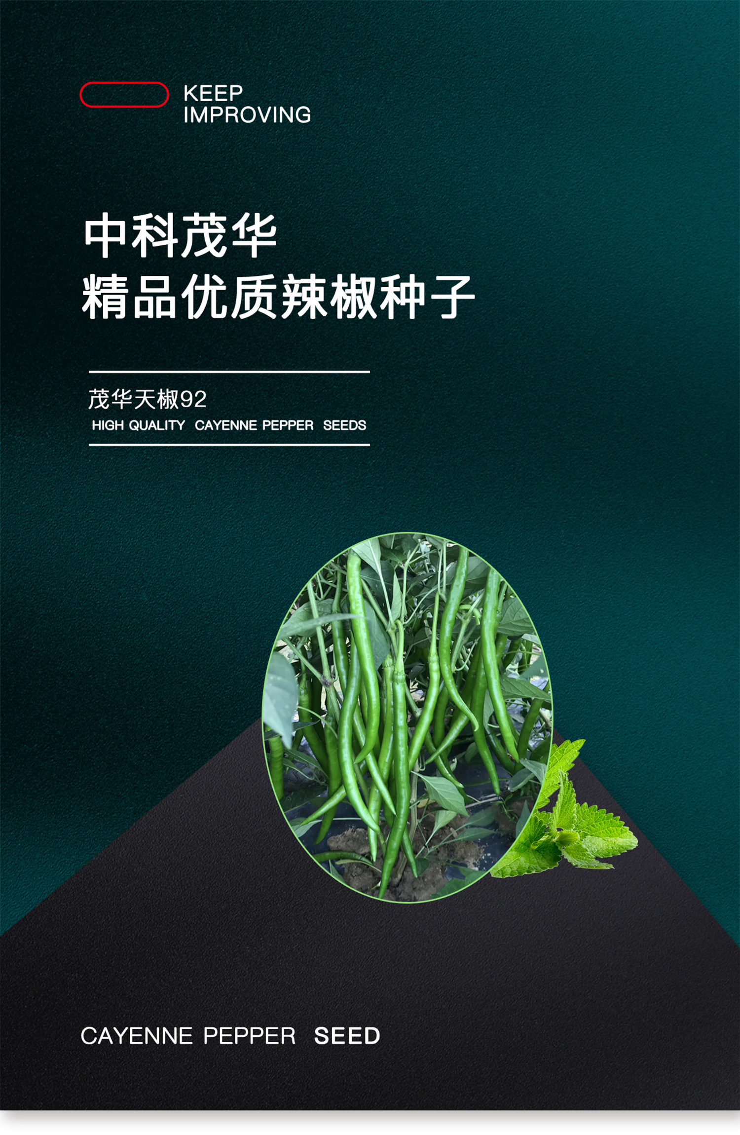  中科茂华蔬菜种子中科椒迈天椒92辣椒种子F1长线椒高产二荆条