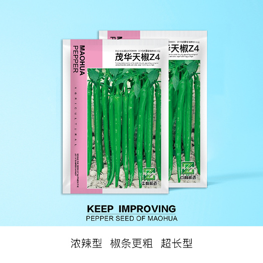 青县 中科茂华蔬菜种子茂华天椒Z4辣椒种子中科椒条椒黑线椒二荆条
