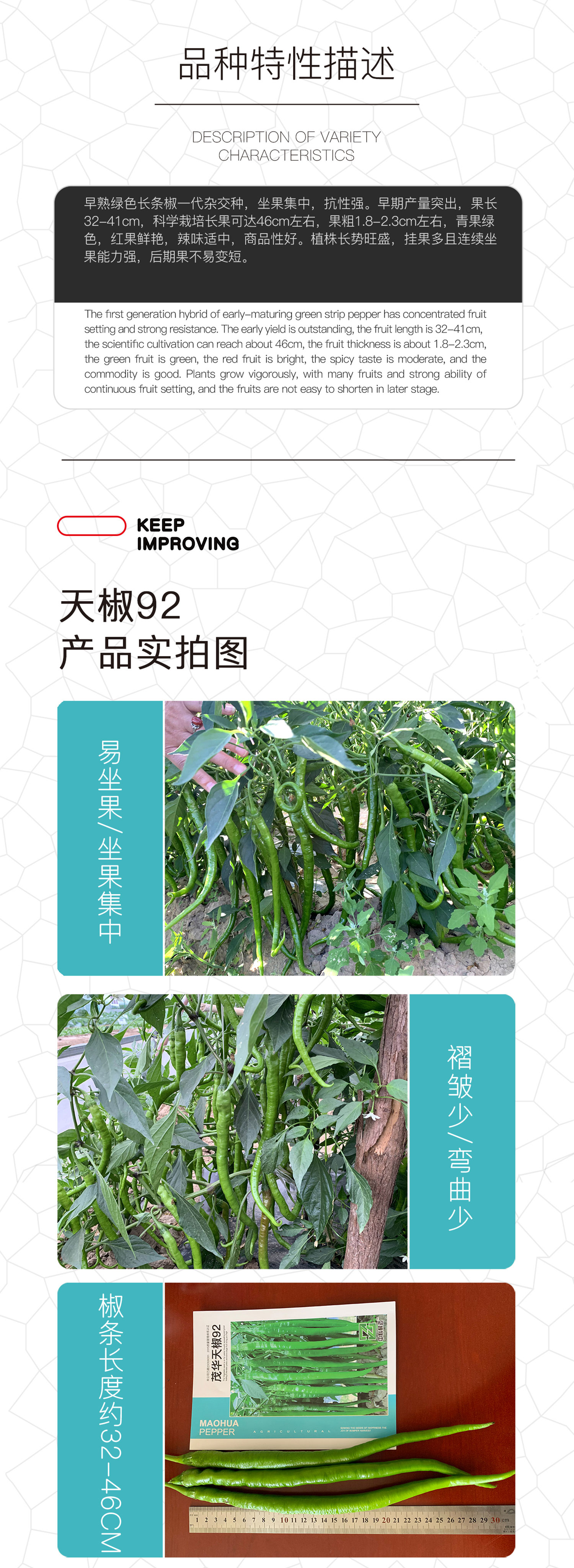  中科茂华蔬菜种子中科椒迈天椒92辣椒种子F1长线椒高产二荆条