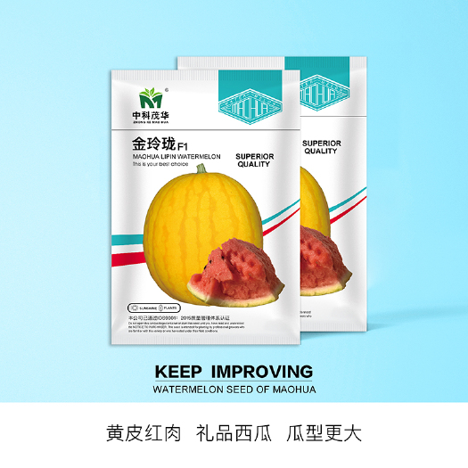 青县 中科茂华水果种子金玲珑西瓜种子黄皮红肉礼品西瓜种籽小果多汁