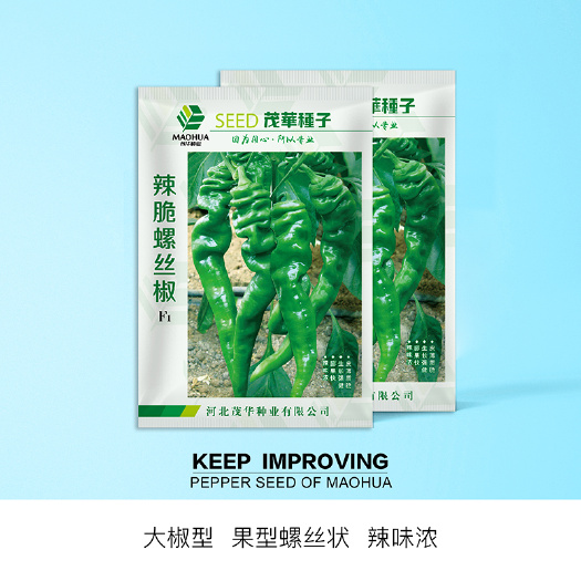 青县 中科茂华蔬菜种子辣椒种子辣脆螺丝椒早熟高产特辣青椒種籽