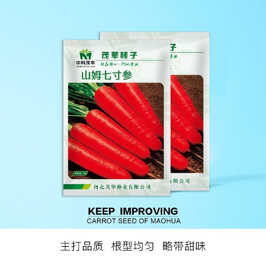 青县 中科茂华蔬菜种子三红五寸胡萝卜种子皮红肉红芯红西洋红参萝卜