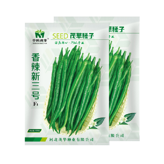 青县 中科茂华蔬菜种子香辣三号线椒种子浅绿色条椒种子干鲜二荆条種籽