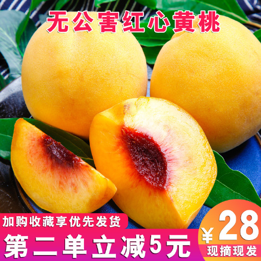 松桃县 贵州高山锦绣黄桃上市了