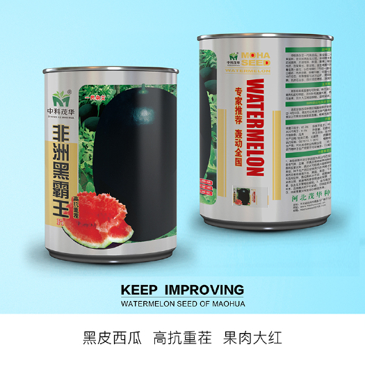青县 中科茂华蔬菜瓜果种子非洲黑霸王西瓜种子黑皮红瓤特抗病抗重茬