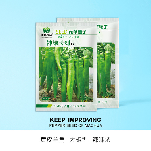 青县 中科茂华蔬菜种子神绿长剑辣椒种子黄皮羊角牛角薄皮神箭青椒種籽