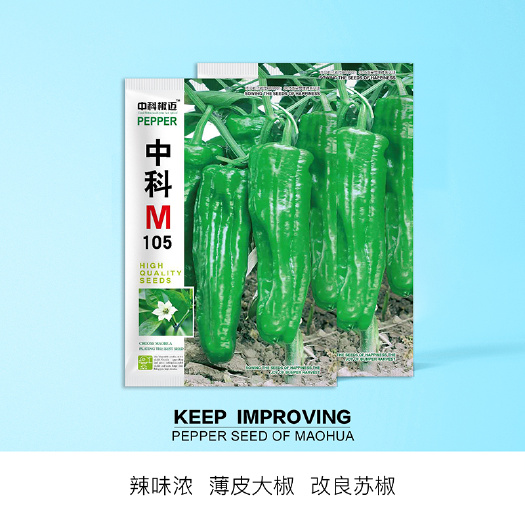 青县 中科茂华蔬菜种子中科M105薄皮辣椒种子大果抗病微辣高产杂交