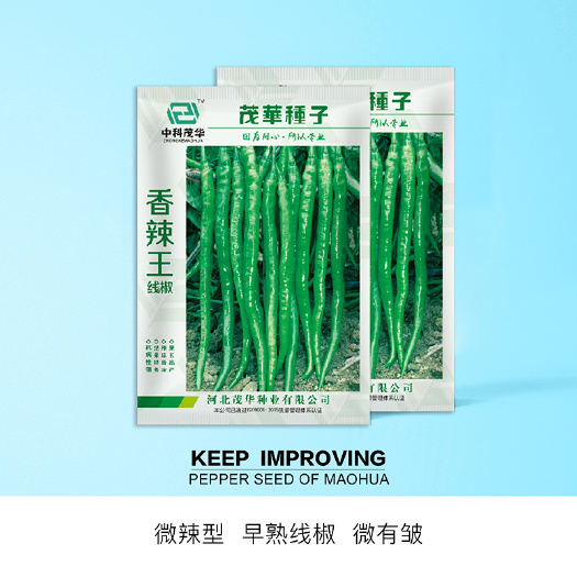 青县 中科茂华蔬菜种子香辣王线椒种子超辣条椒種籽高产抗病干鲜两用