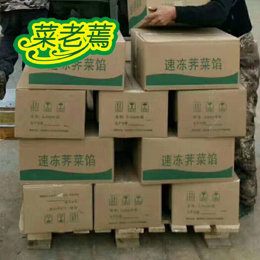 沧县 琛青宜鲜新鲜速冻荠菜馅 现货芨芨菜馅酒店食材 速冻蔬菜批发