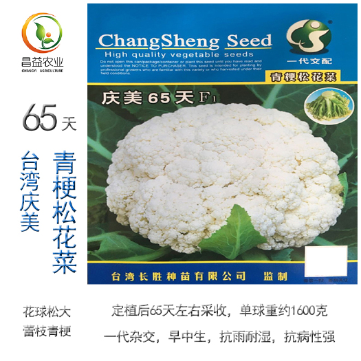 白面青梗松花菜种子 庆美松花菜种籽65天耐热至90天耐寒白面青梗松花种子