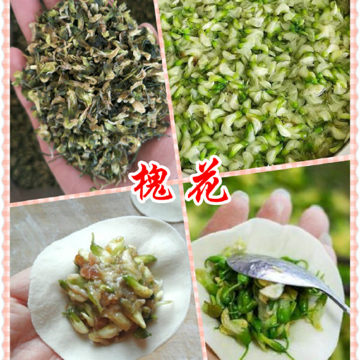 沧县 药食同源中药材品批发 现货新鲜槐花 脱水烘干槐花馅料食材