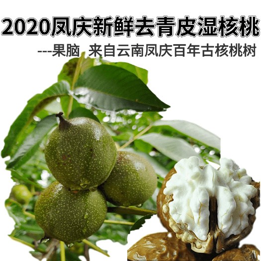 凤庆县 云南凤庆薄皮新鲜核桃果去青皮2020年麻茶核桃可发货一手货