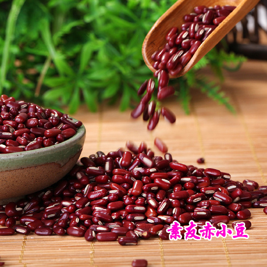 精选赤小豆 高品质 赤小豆 大量批发赤小豆24小时发货
