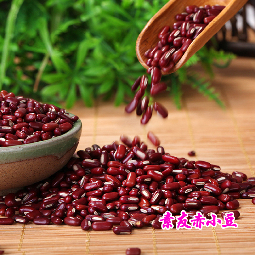 亳州精选赤小豆 高品质 赤小豆 大量批发赤小豆24小时发货