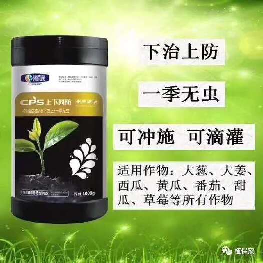 郑州菌肥  少打药  不打药  减少地上地下害虫