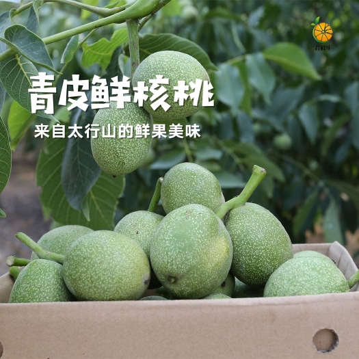 临城县 【一件代发】 鲜核桃/青皮核桃，香玲核桃