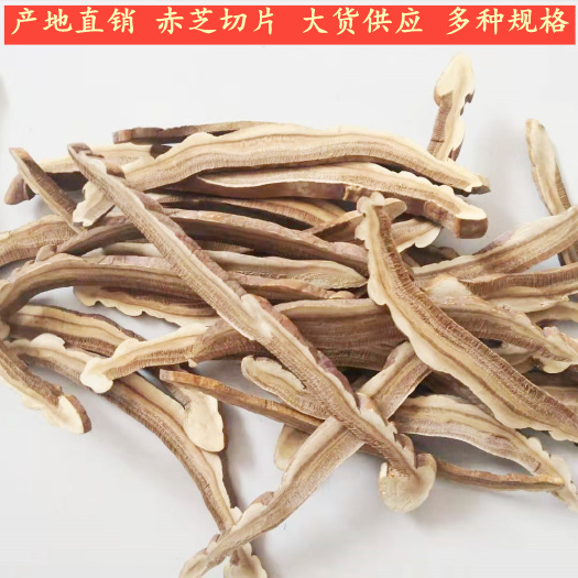 冠县赤灵芝  灵芝切片 合作社自产自销