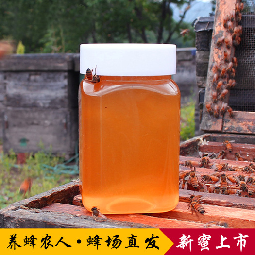 长葛市 蜂蜜纯正天然农家自产椴树蜜洋槐蜜枣花蜜百花蜜自家养土蜂蜜