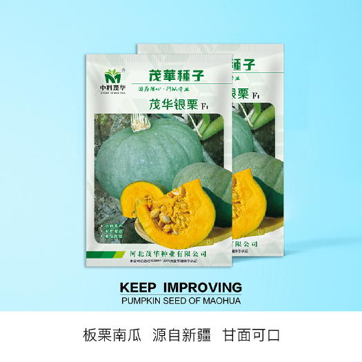 青县 中科茂华蔬菜种子茂华银栗南瓜种子早熟高产耐运输货架期长
